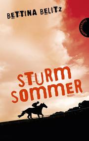 Sturmsommer - Cover