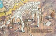 Dr. Brumm und der Megasaurus - Abbildung 3