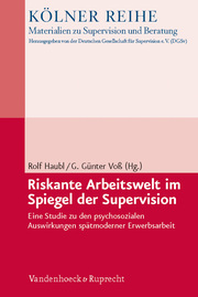 Riskante Arbeitswelt im Spiegel der Supervision - Cover