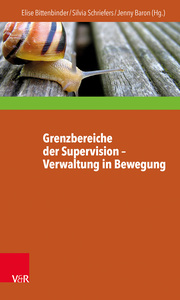 Grenzbereiche der Supervision - Verwaltung in Bewegung - Cover