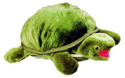 Die Erzählschildkröte