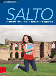 Salto Lernwortschatz - Cover