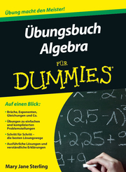 Ubungsbuch Algebra fur Dummies