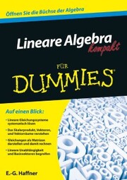 Lineare Algebra kompakt für Dummies - Cover