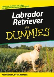 Labrador Retriever für Dummies