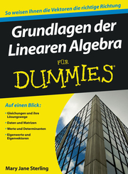 Grundlagen der Linearen Algebra für Dummies - Cover