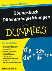 Übungsbuch Differentialgleichungen für Dummies