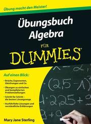 Übungsbuch Algebra für Dummies - Cover