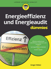 Energieeffizienz und Energieaudit für Dummies - Cover