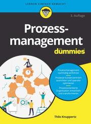 Prozessmanagement für Dummies