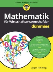 Mathematik für Wirtschaftswissenschaftler für Dummies - Cover
