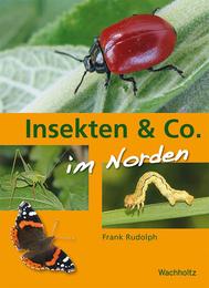 Insekten & Co im Norden