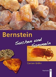 Bernstein - suchen und sammeln - Cover