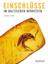 Einschlüsse im baltischen Bernstein - Cover