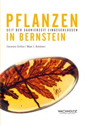 Pflanzen in Bernstein