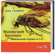 Wunderwelt Bernstein - Cover