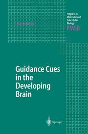 Guidance Cues in the Developing Brain