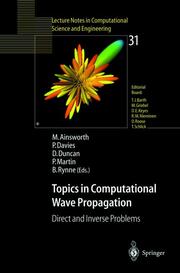 Topics in Computational Wave Propagation - Cover