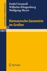 Riemannsche Geometrie im Großen