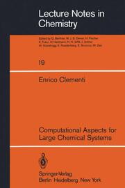 Computational Aspects for Large Chemical Systems - Cover