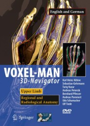 VOXEL-MAN 3D-NAVIGATOR