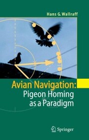 Avian Navigation: Pigeon Homing as a Paradigm - Cover