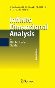 Infinite Dimensional Analysis