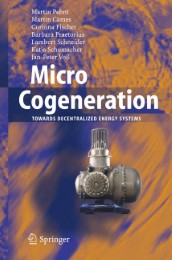 Micro Cogeneration - Abbildung 1
