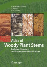 Atlas of Woody Plant Stems - Abbildung 1