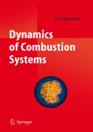 Dynamics of Combustion Systems - Abbildung 1