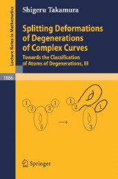 Splitting Deformations of Degenerations of Complex Curves - Abbildung 1