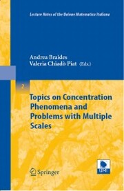 Topics on Concentration Phenomena and Problems with Multiple Scales