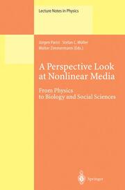 A Perspective Look at Nonlinear Media