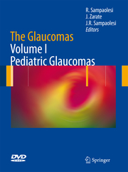 The Glaucomas I