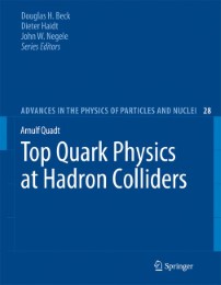 Top Quark Physics at Hadron Colliders - Abbildung 1