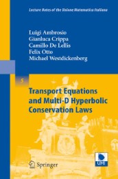 Transport Equations and Multi-D Hyperbolic Conservation Laws - Abbildung 1