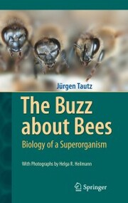 The Buzz about Bees - Cover
