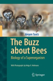 The Buzz about Bees - Abbildung 1
