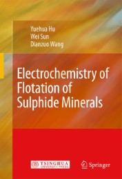 Electrochemistry of Flotation of Sulphide Minerals - Abbildung 1