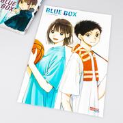 Blue Box 2 - Abbildung 4