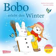 Bobo Siebenschläfer: Bobo erlebt den Winter - Cover