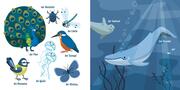 Mein Baby-Pixi-Buggybuch: Blauwalblau und andere tolle Farben - Abbildung 4