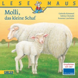 Molli, das kleine Schaf