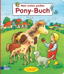 Mein erstes großes Pony-Buch