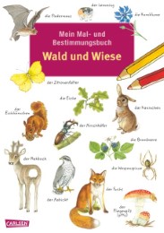 Mein Mal- und Bestimmungsbuch - Wald und Wiese