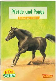 Pferde und Ponys