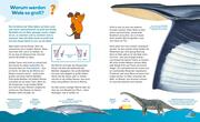 Wale und Delfine - Abbildung 6