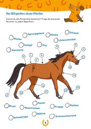 Frag doch mal ... die Maus: Mein Rätselblock mit der Maus – Pferde und Ponys - Abbildung 3