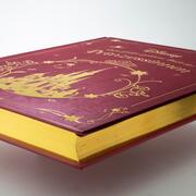 Disney: Das große goldene Buch der Prinzessinnen - Abbildung 5