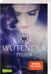 Wütender Sturm - Cover